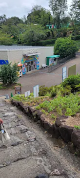 日本モンキーパークに投稿された画像（2026/8/15）