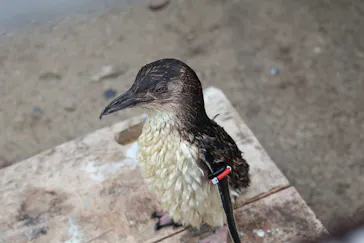 葛西臨海水族園に投稿された画像（2026/8/15）