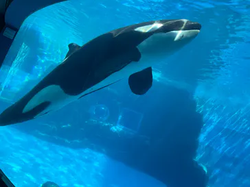 名古屋港水族館に投稿された画像（2026/8/15）