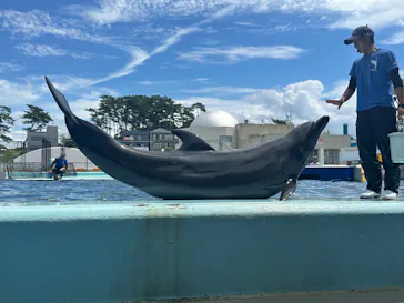 越前松島水族館に投稿された画像（2026/8/15）