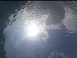 武藤潜水に投稿された画像（2026/8/15）