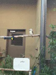天王寺動物園に投稿された画像（2026/8/15）