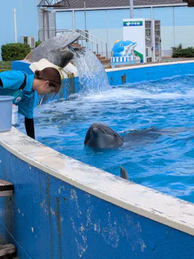 南知多ビーチランド＆南知多おもちゃ王国に投稿された画像（2026/8/15）