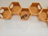 Cat Café MOFF グランベリーパーク店に投稿された画像（2026/8/15）
