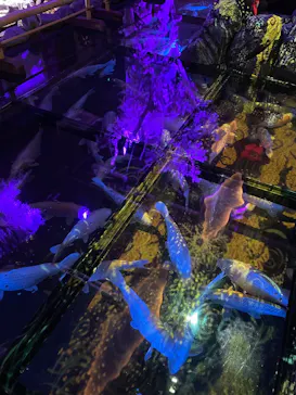 AQUARIUM × ART　atoaに投稿された画像（2026/8/15）