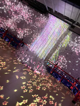 AQUARIUM × ART　atoaに投稿された画像（2026/8/15）