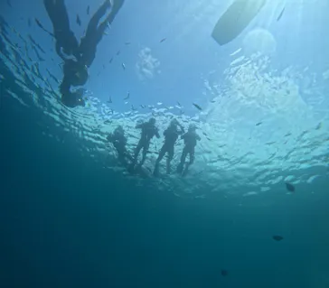 沖縄マリンサービス碧に投稿された画像（2026/8/15）