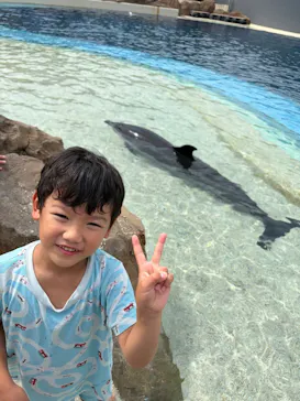 大分マリーンパレス水族館 「うみたまご」に投稿された画像（2026/8/15）