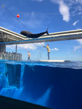 上越市立水族博物館 うみがたりに投稿された画像（2026/8/15）