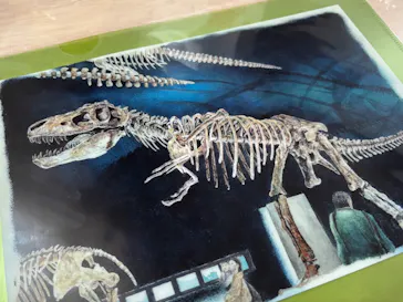 プレバト才能アリ展（大阪会場）に投稿された画像（2026/8/15）