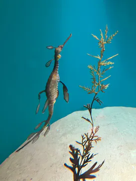 葛西臨海水族園に投稿された画像（2026/8/15）