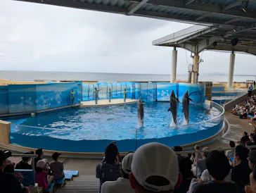 新江ノ島水族館に投稿された画像（2026/8/15）