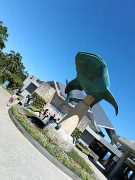 沖縄美ら海水族館に投稿された画像（2026/8/15）