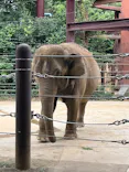 恩賜上野動物園に投稿された画像（2026/8/15）