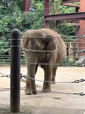 恩賜上野動物園に投稿された画像（2026/8/15）