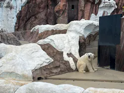 恩賜上野動物園に投稿された画像（2026/8/15）