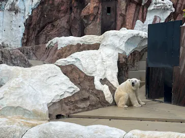 恩賜上野動物園に投稿された画像（2026/8/15）