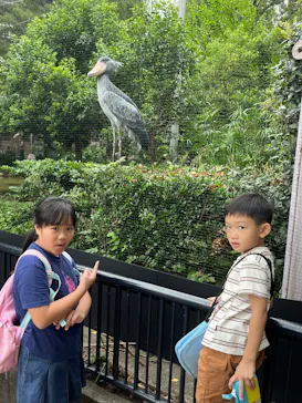 恩賜上野動物園に投稿された画像（2026/8/15）