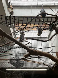 恩賜上野動物園に投稿された画像（2026/8/15）