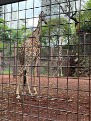 恩賜上野動物園に投稿された画像（2026/8/15）