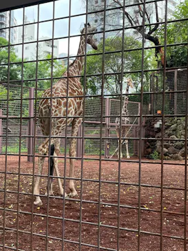 恩賜上野動物園に投稿された画像（2026/8/15）