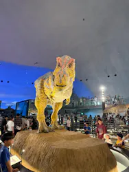 福井県立恐竜博物館に投稿された画像（2026/8/15）
