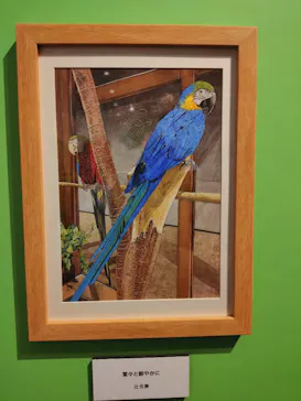 プレバト才能アリ展（大阪会場）に投稿された画像（2026/8/15）