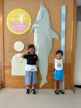 太地町立くじらの博物館に投稿された画像（2026/8/15）