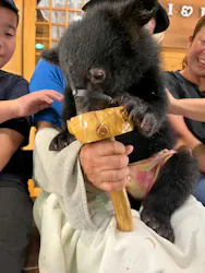 奥飛騨クマ牧場に投稿された画像（2026/8/15）
