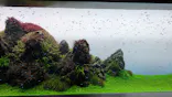 すみだ水族館に投稿された画像（2026/8/15）