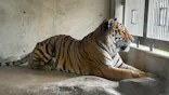 天王寺動物園に投稿された画像（2026/8/15）