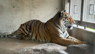 天王寺動物園に投稿された画像（2026/8/15）