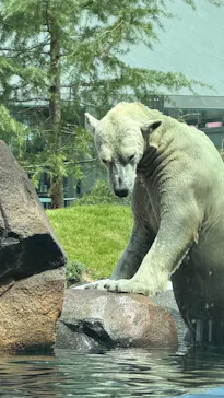 天王寺動物園に投稿された画像（2026/8/15）