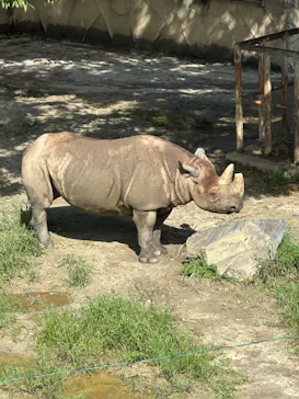 日立市かみね動物園に投稿された画像（2026/8/15）
