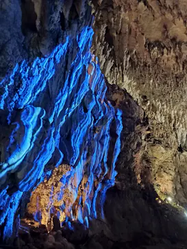 CAVE OKINAWAに投稿された画像（2026/8/15）