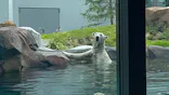 天王寺動物園に投稿された画像（2026/8/15）