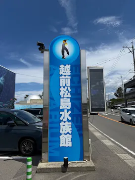 越前松島水族館に投稿された画像（2026/8/15）