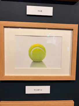 プレバト才能アリ展（大阪会場）に投稿された画像（2026/8/15）