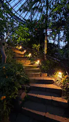BOTANICA MUSEUMに投稿された画像（2026/8/15）
