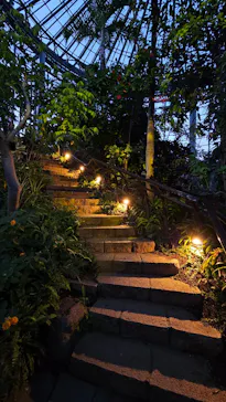 BOTANICA MUSEUMに投稿された画像（2026/8/15）