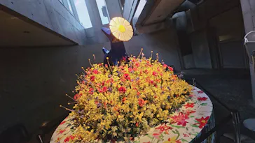 BOTANICA MUSEUMに投稿された画像（2026/8/15）