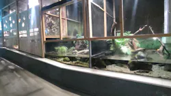 アクアマリンいなわしろカワセミ水族館に投稿された画像（2026/8/15）