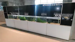 アクアマリンいなわしろカワセミ水族館に投稿された画像（2026/8/15）