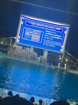 名古屋港水族館に投稿された画像（2026/8/15）