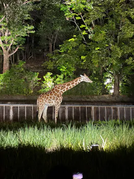 名古屋市東山動植物園に投稿された画像（2026/8/15）
