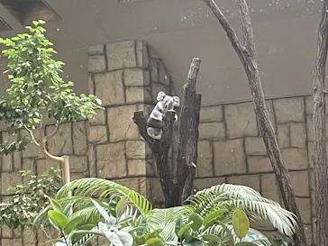 名古屋市東山動植物園に投稿された画像（2026/8/15）