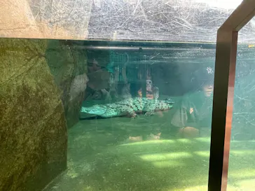名古屋市東山動植物園に投稿された画像（2026/8/15）