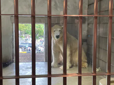 名古屋市東山動植物園に投稿された画像（2026/8/15）