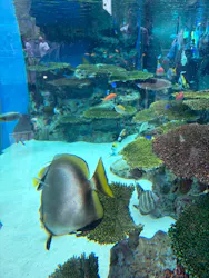 栃木県なかがわ水遊園に投稿された画像（2026/8/15）
