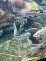 栃木県なかがわ水遊園に投稿された画像（2026/8/15）